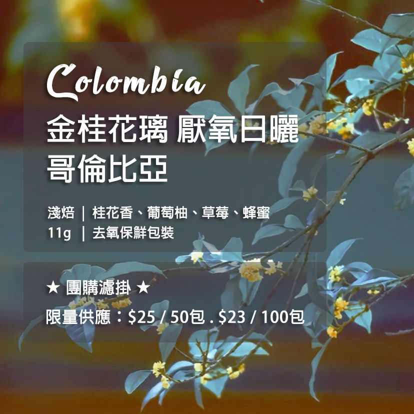 [團購優惠] 哥倫比亞 金桂花璃 厭氧日曬 -濾掛咖啡 !!預購中!!