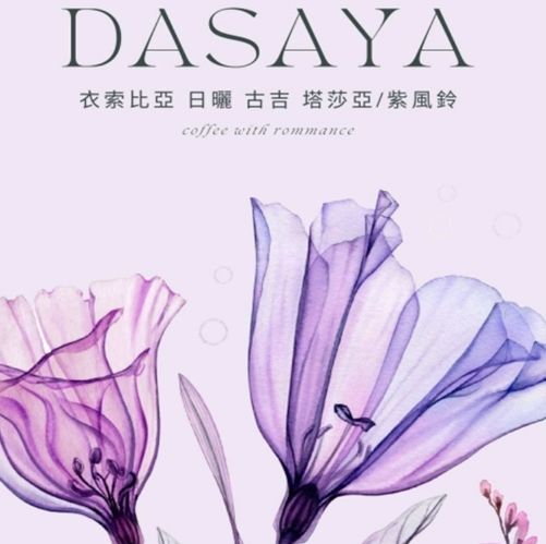 衣索比亞 歌姬藝妓 日曬