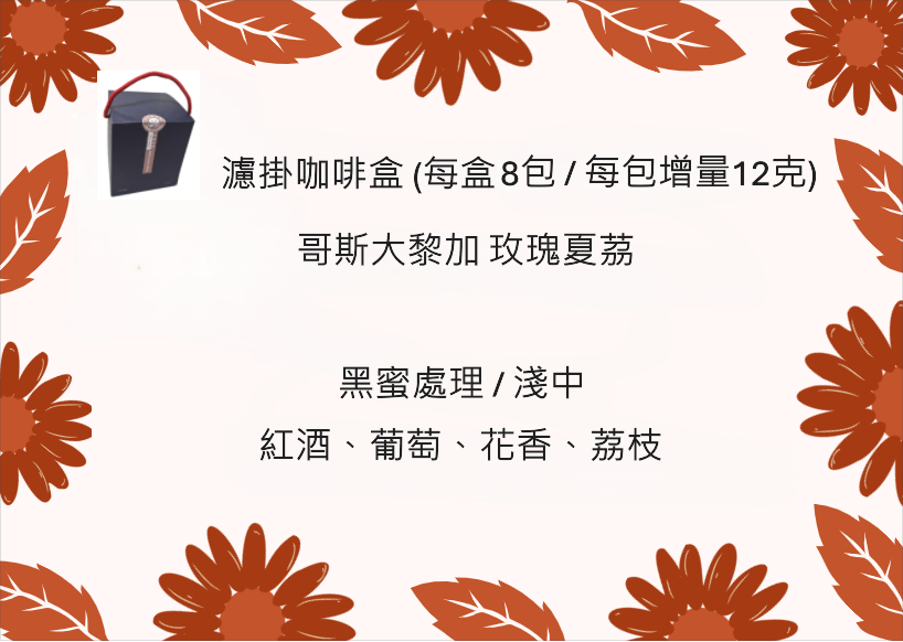 濾掛咖啡盒 - 哥斯大黎加 玫瑰夏茘