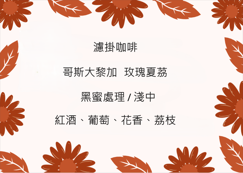 濾掛咖啡盒 - 哥斯大黎加 玫瑰夏茘