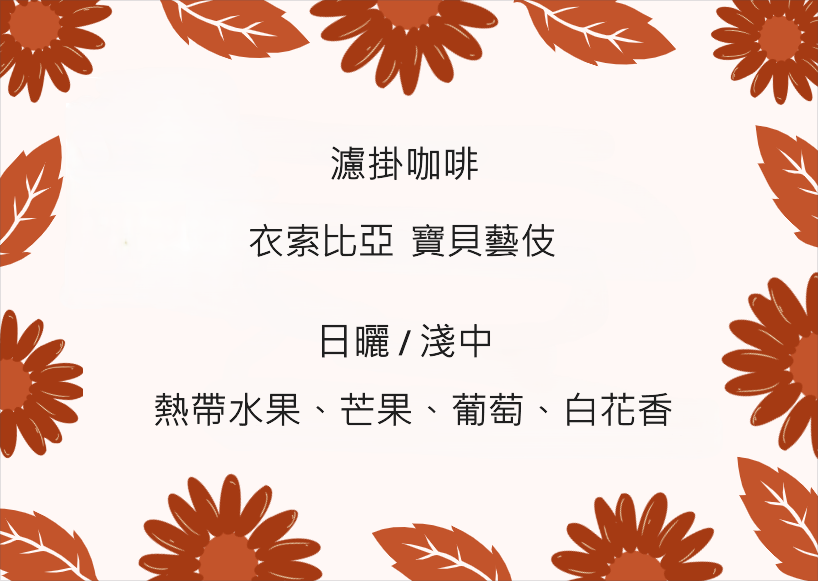 濾掛咖啡盒 - 衣索比亞 寶貝藝伎