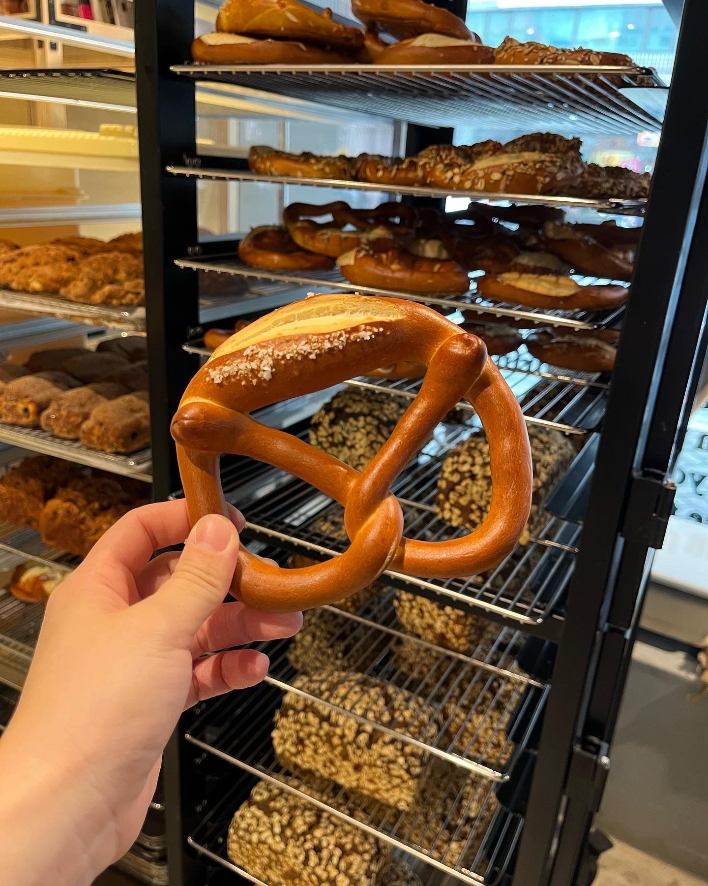 斯徒加特布雷結