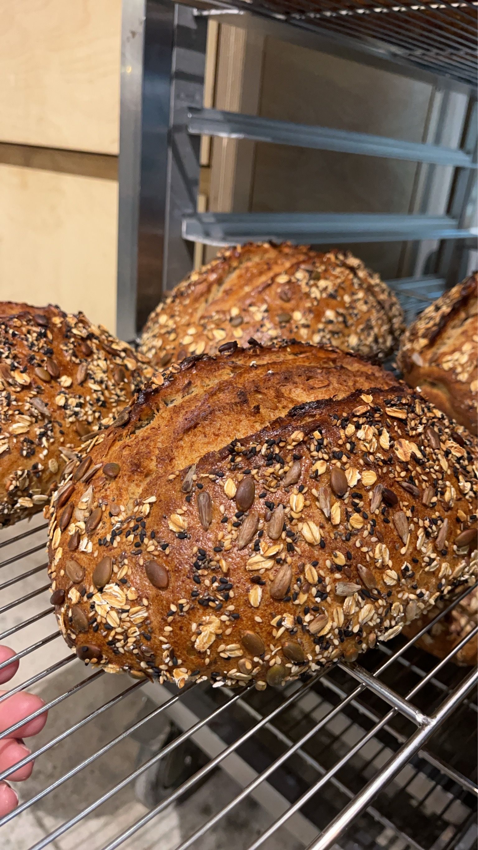 偉茵海姆雙城堡