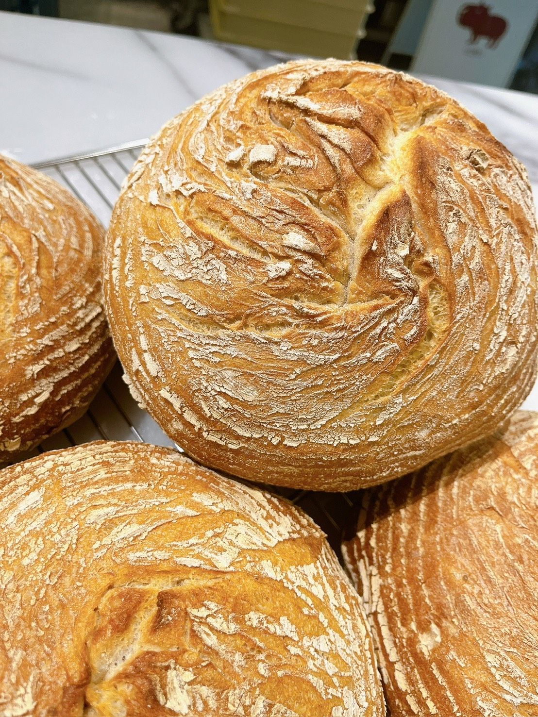 斯瓦本混合小麥麵包