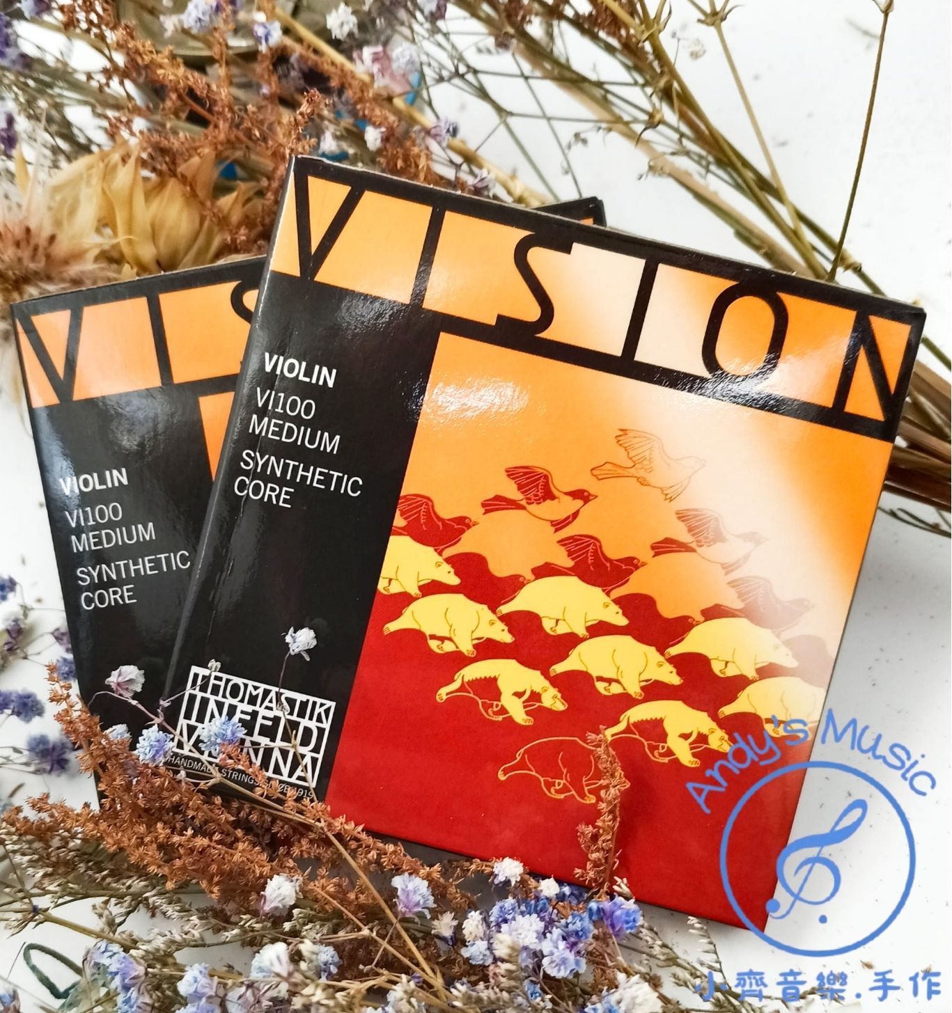 Thomastik-Infeld Vienna VISION - VI100 小提琴套弦