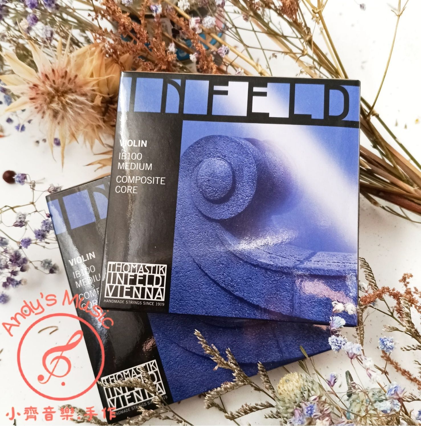 Thomastik-Infeld® INFELD Blue - IB100 小提琴弦套裝