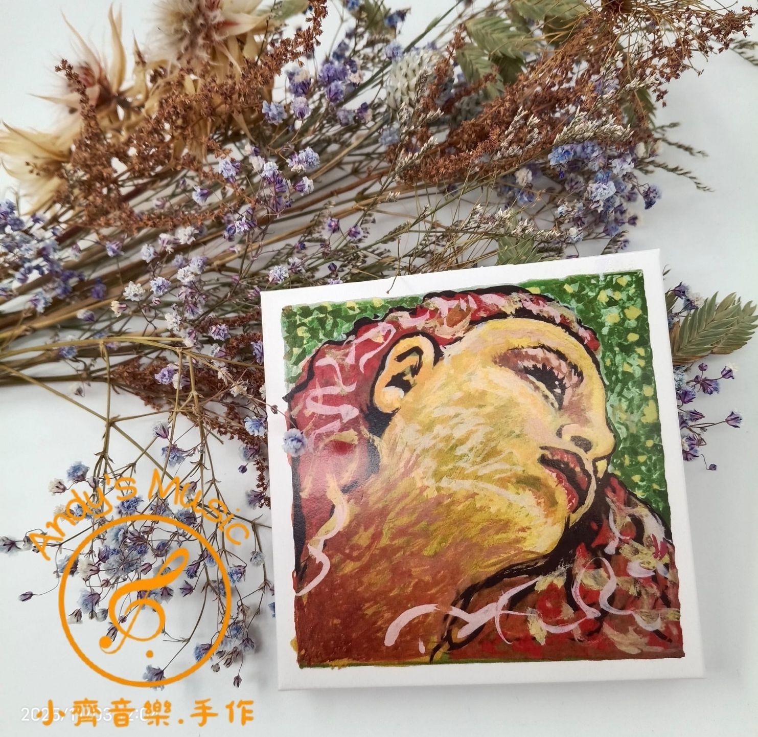 Pirastro Evah Pirazzi Neo -  41B021小提琴弦線套組