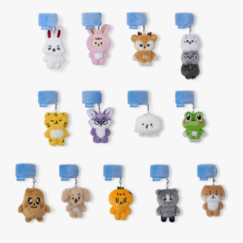 [F.H] SVT 正規五 官方MD