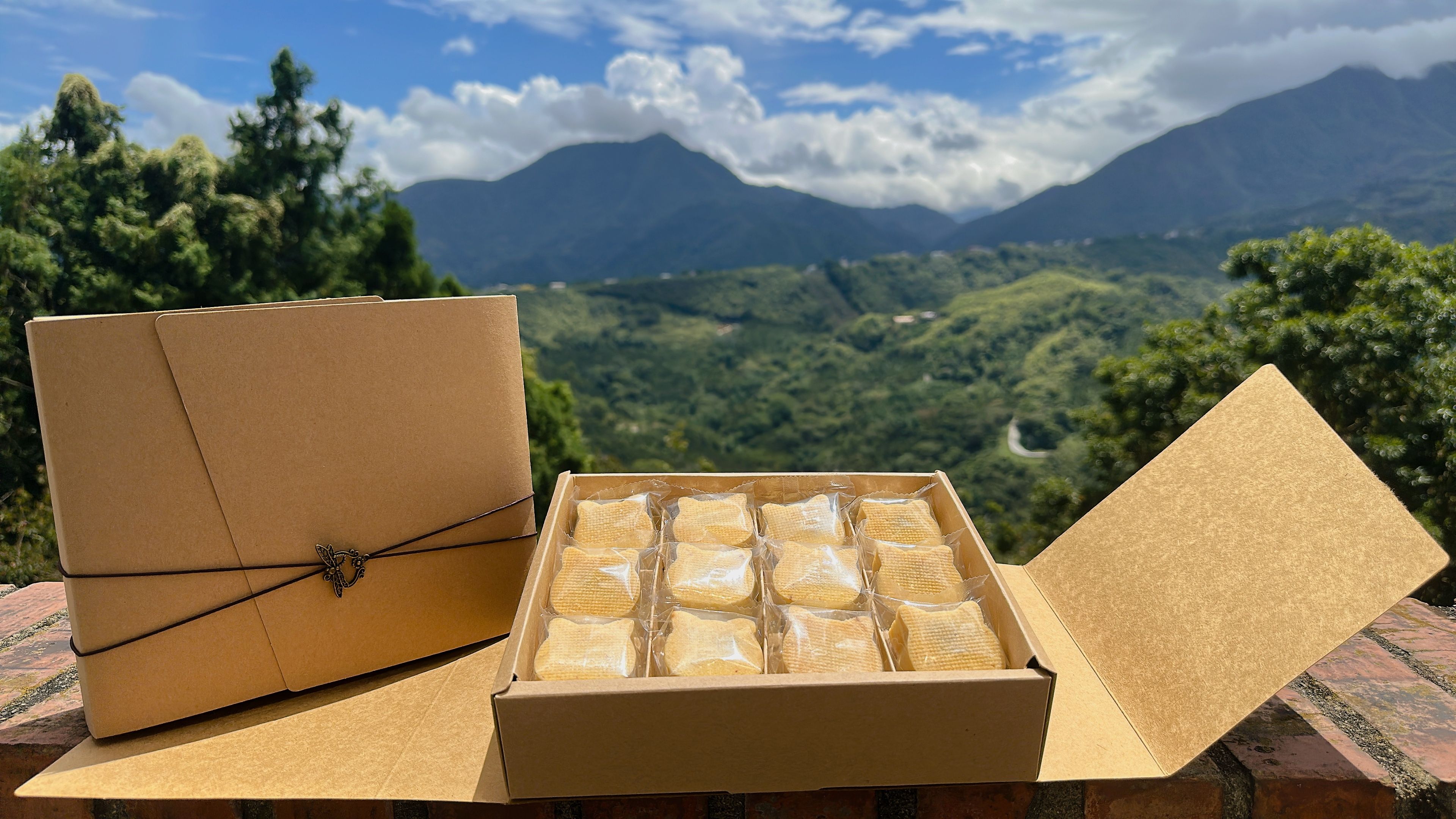 造型貓咪 土鳳梨酥 含稅