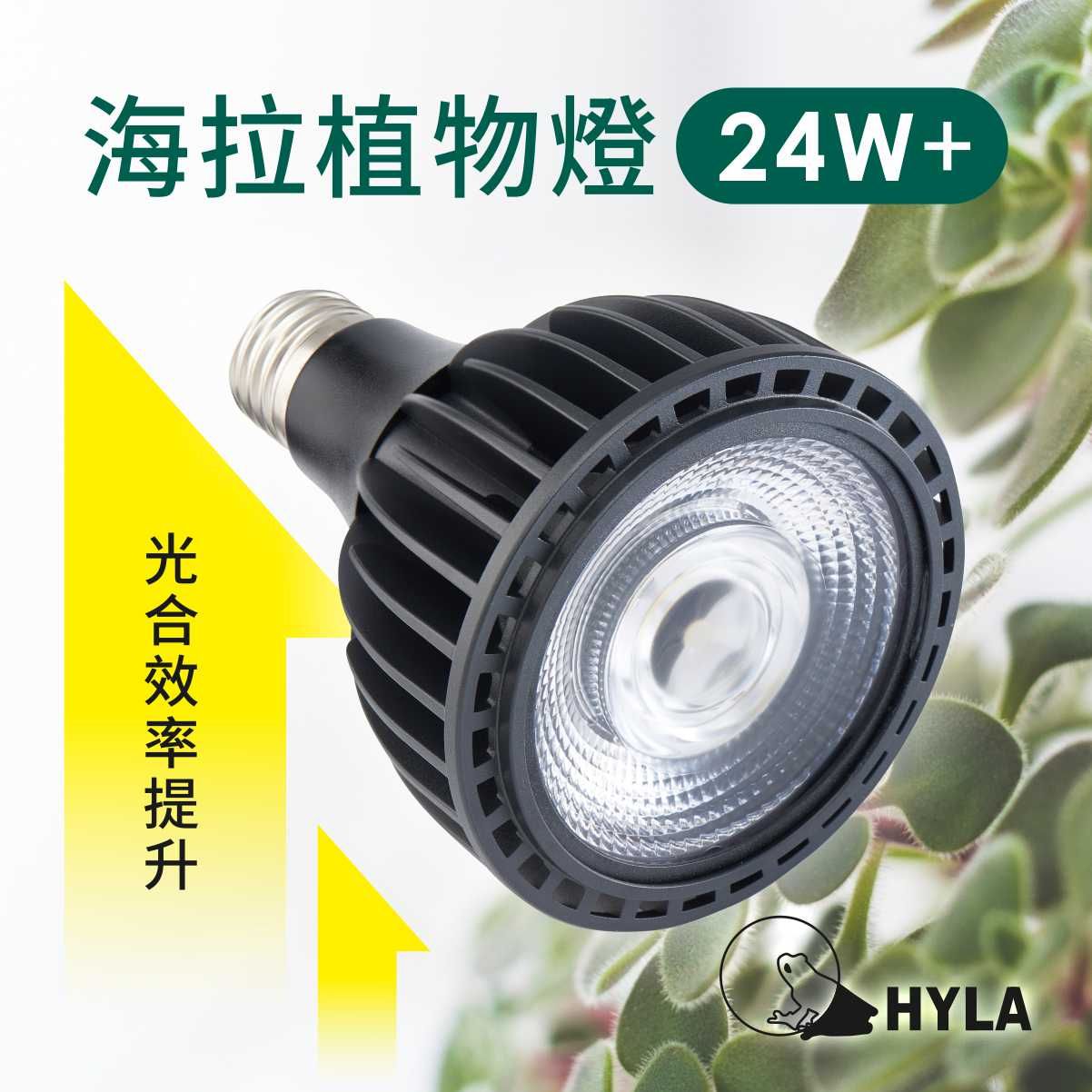 新一代  24W+植物燈泡 海拉植物燈 4200K色溫 PA燈 聚光型 開花植物 龍舌蘭 鹿角蕨 觀葉適用