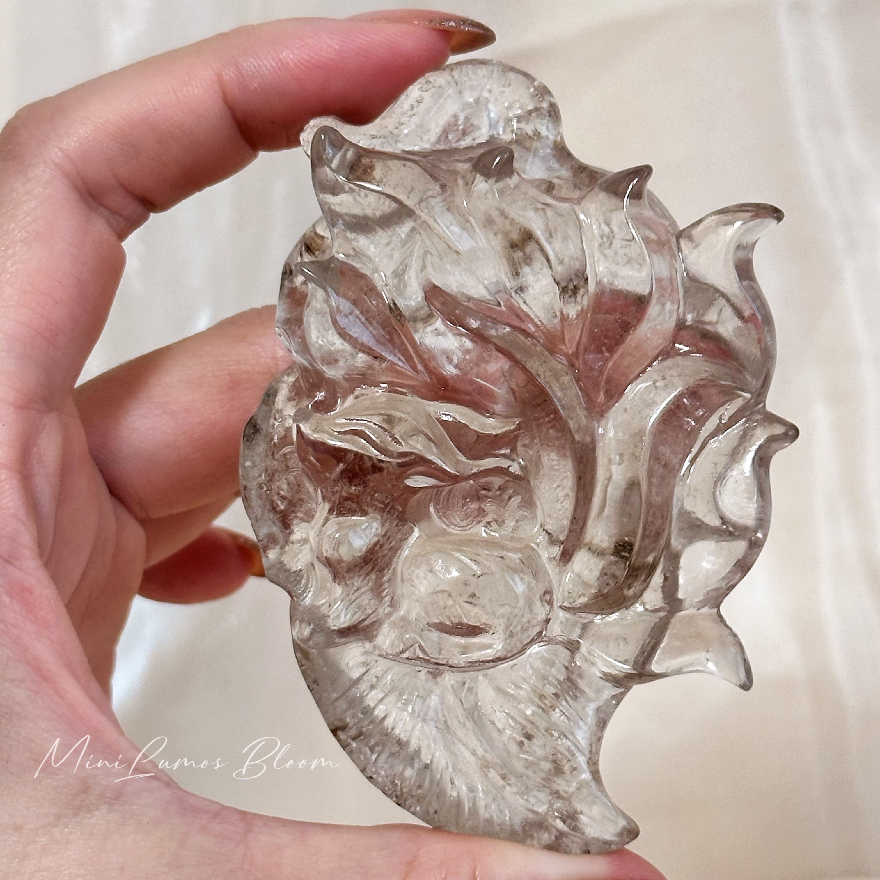淡茶晶～葉片上的優雅九尾🦊