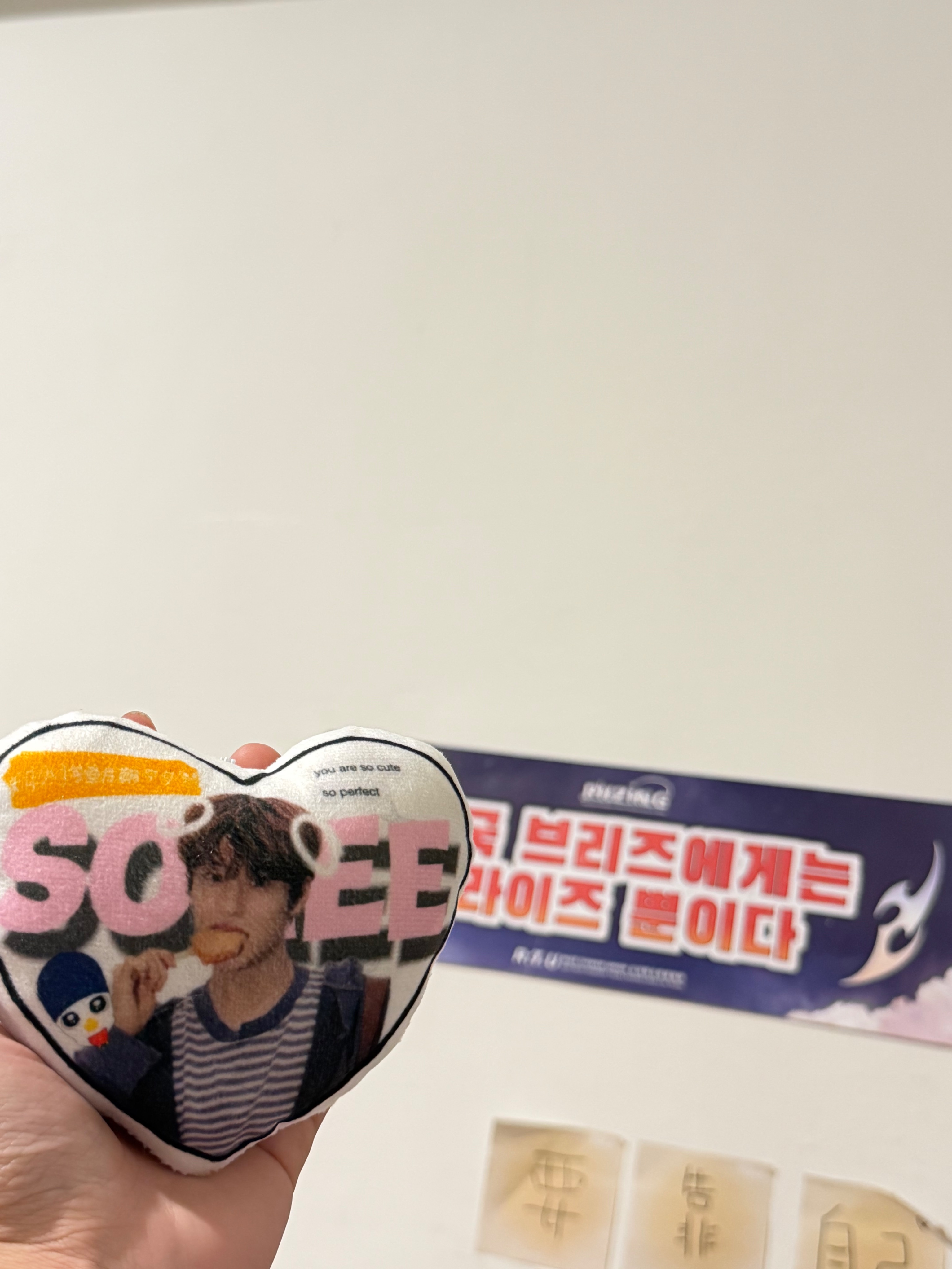 Sohee生日應援物