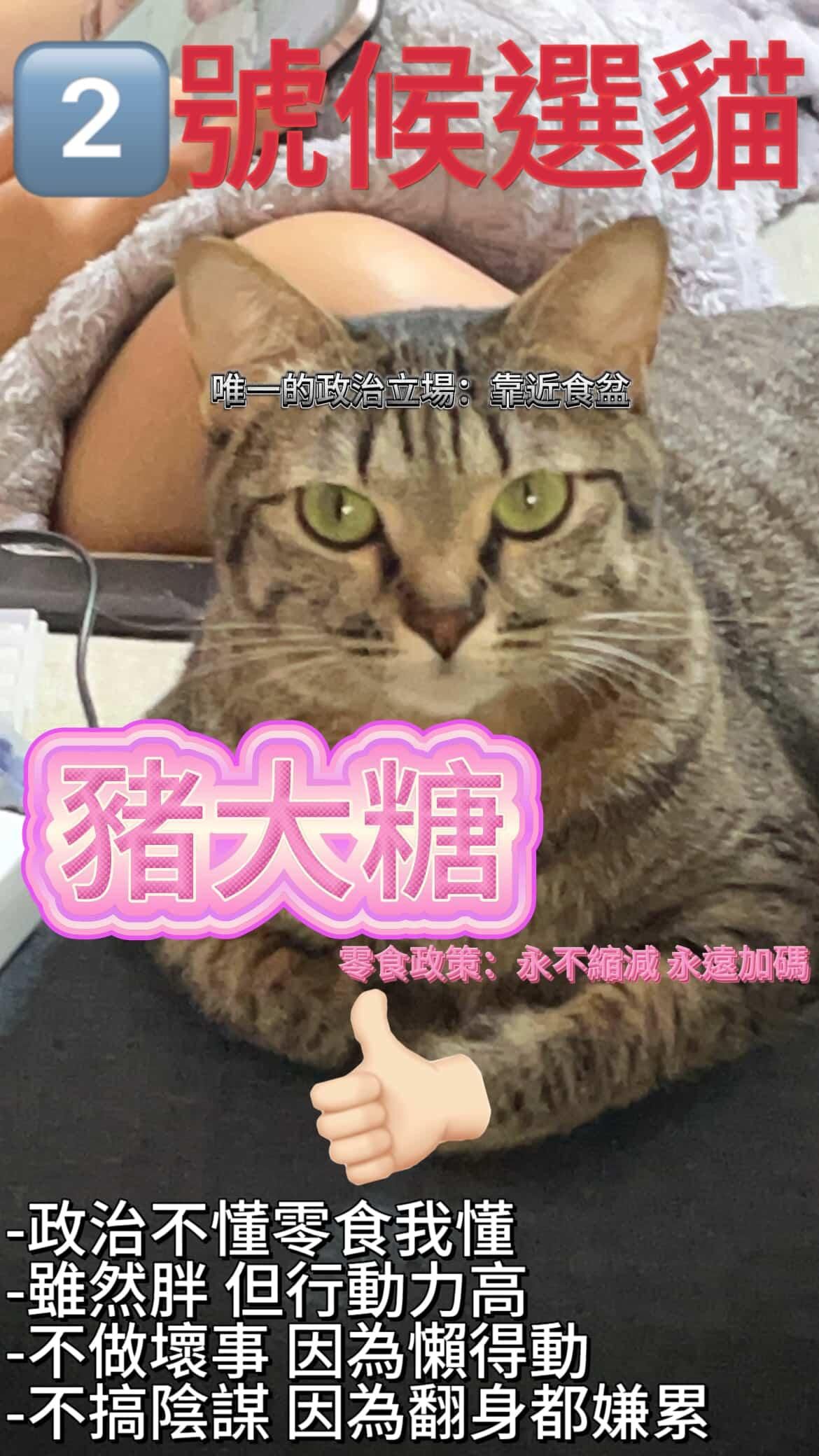 崩鐵同人 男角色區（1）