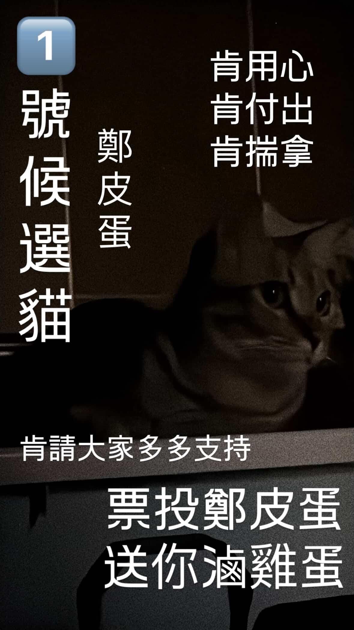 原崩同人不分男女區