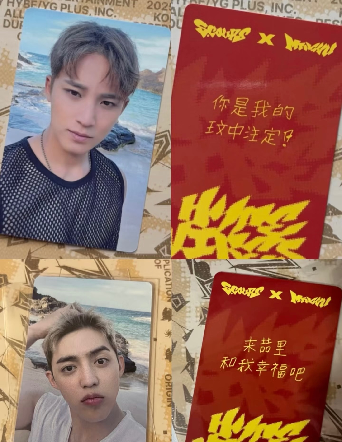 中文特典卡 Wink ver（可指定）