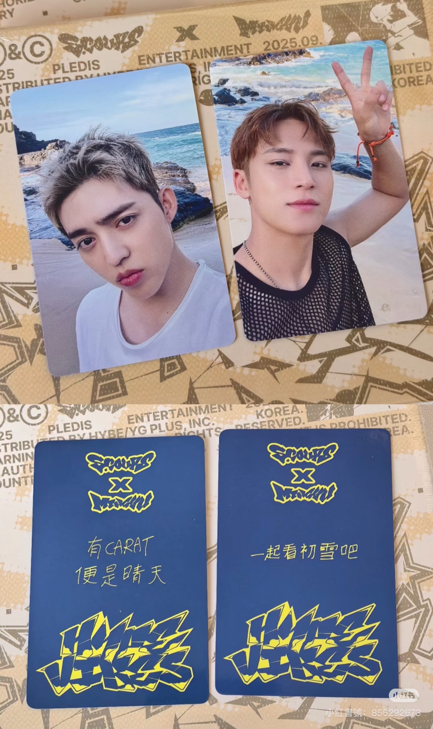 預售中文特典卡（可指定）