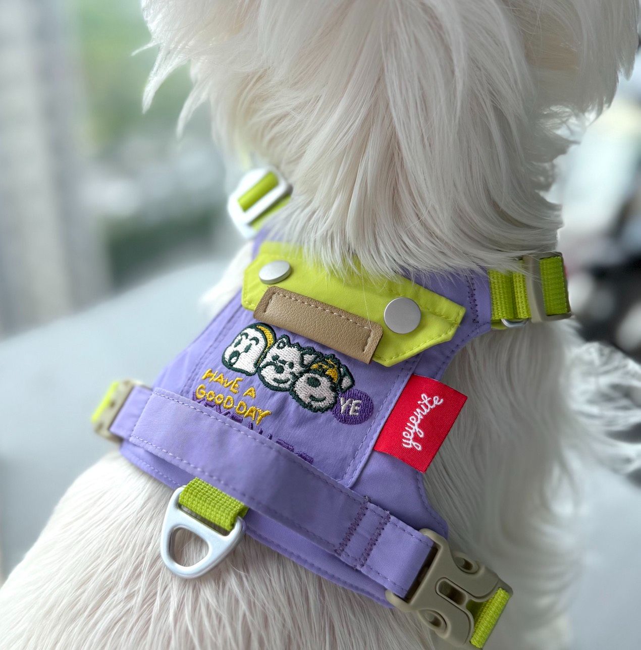 普羅旺斯氣泡紫