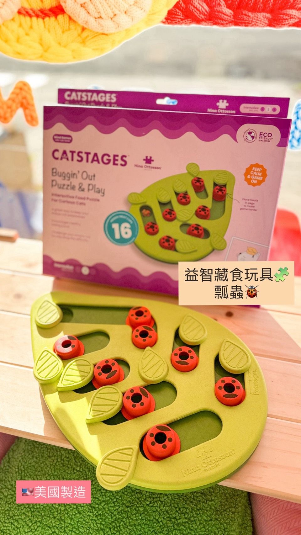 美國製益智藏食玩具