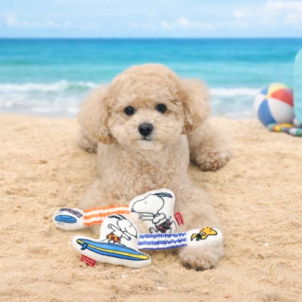 史努比海灘伸縮玩具