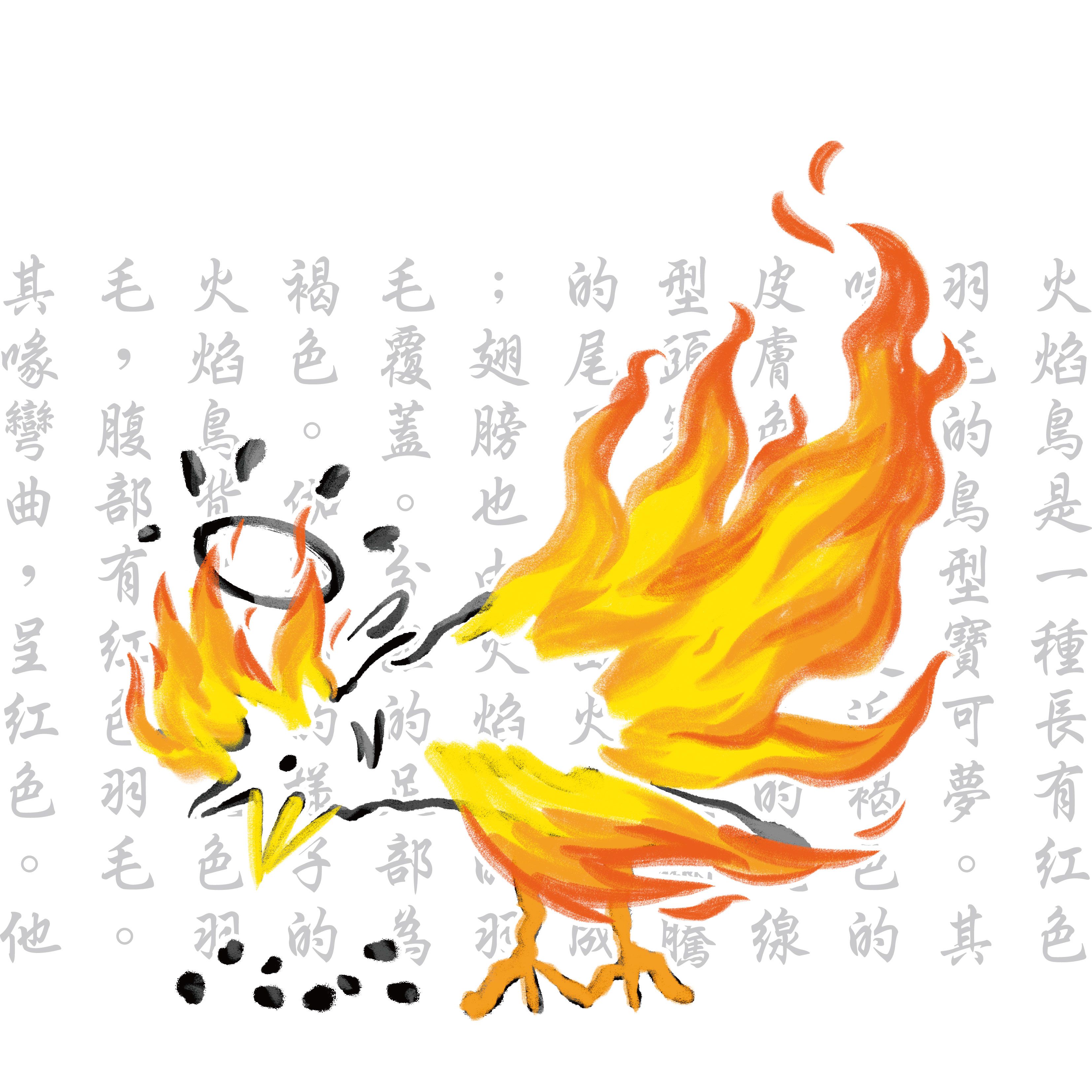 【預購】火焰鳥_（白色）T恤_（點圖片有尺寸表）