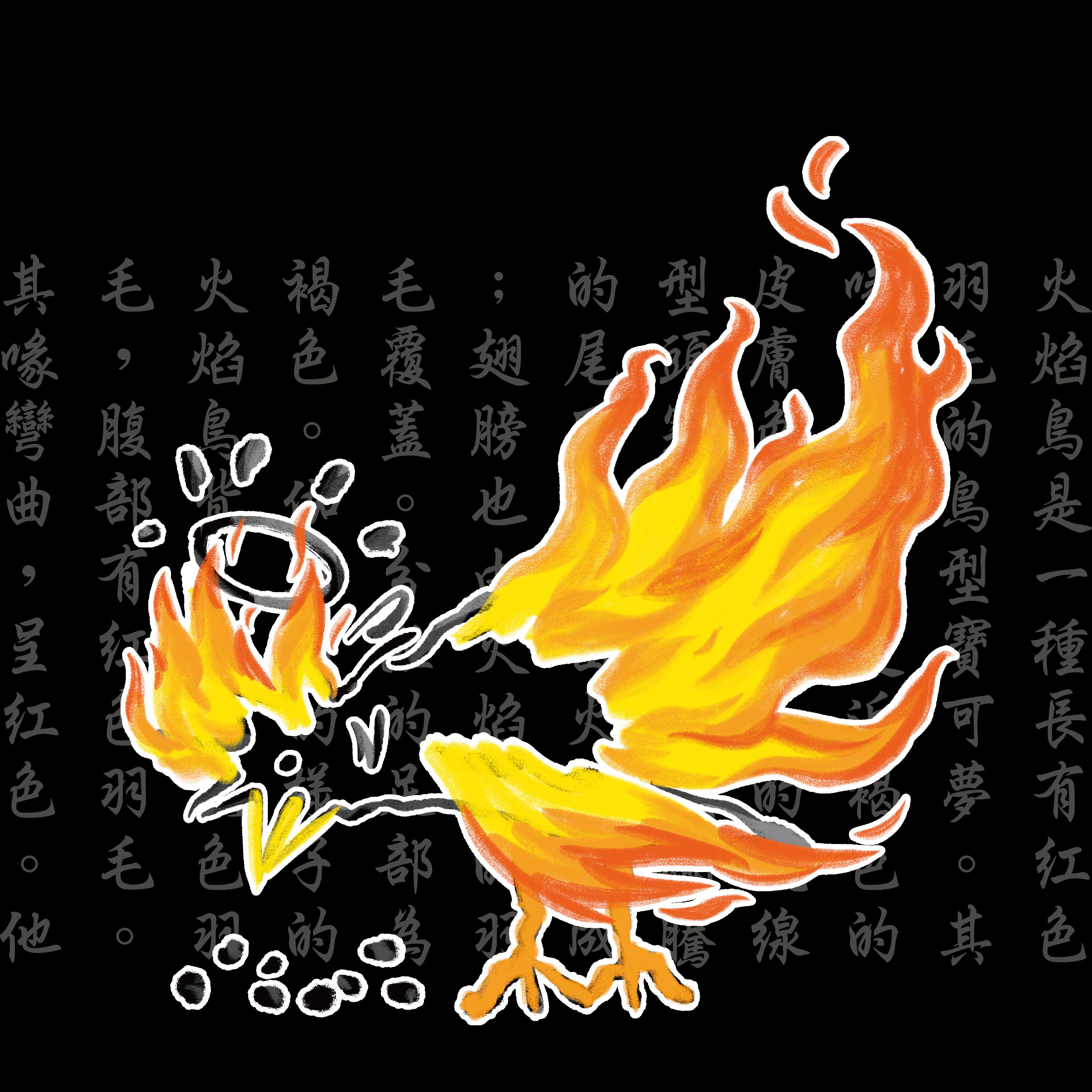 【預購】火焰鳥_（黑色）T恤_（點圖片有尺寸表）