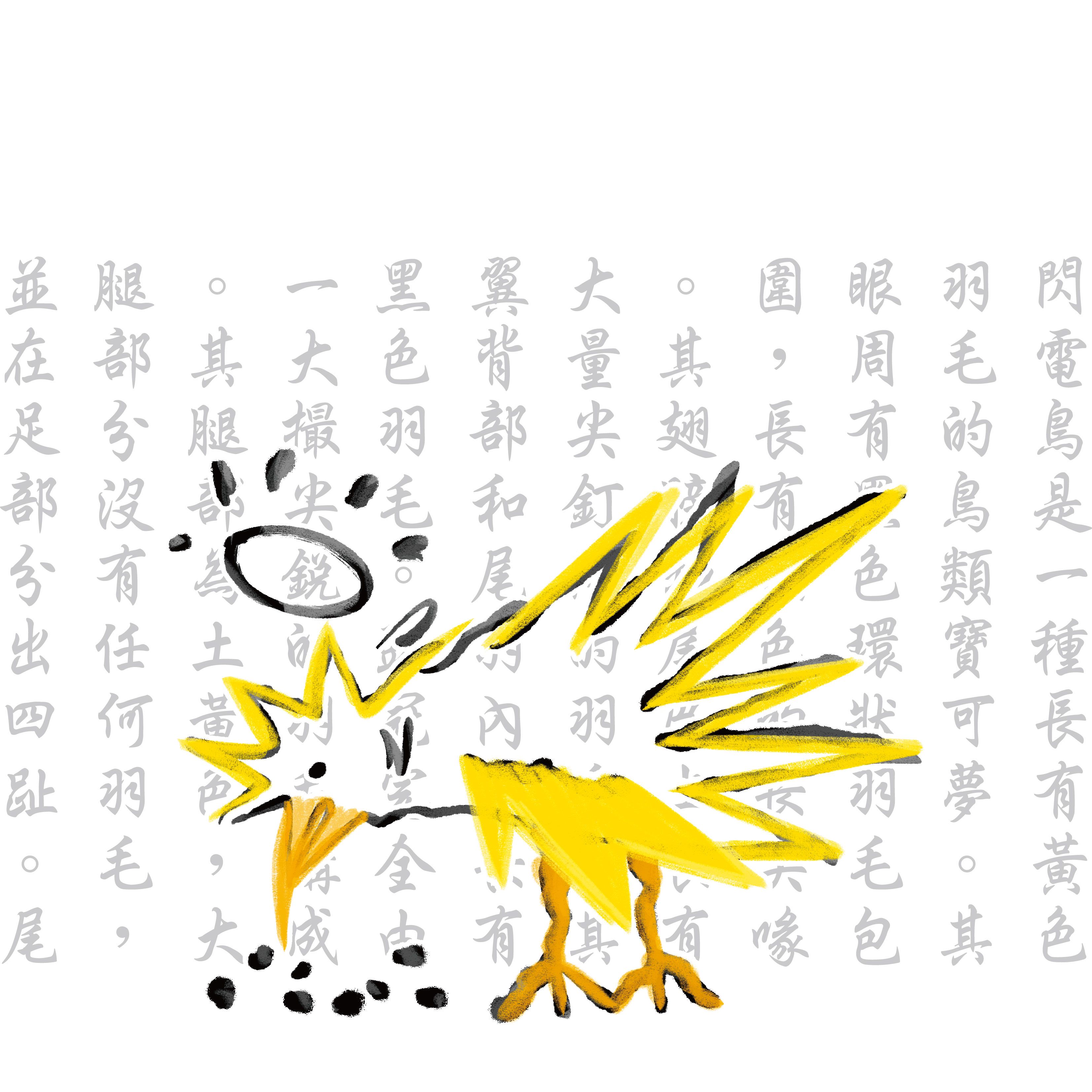 【預購】閃電鳥_（白色）T恤_（點圖片有尺寸表）