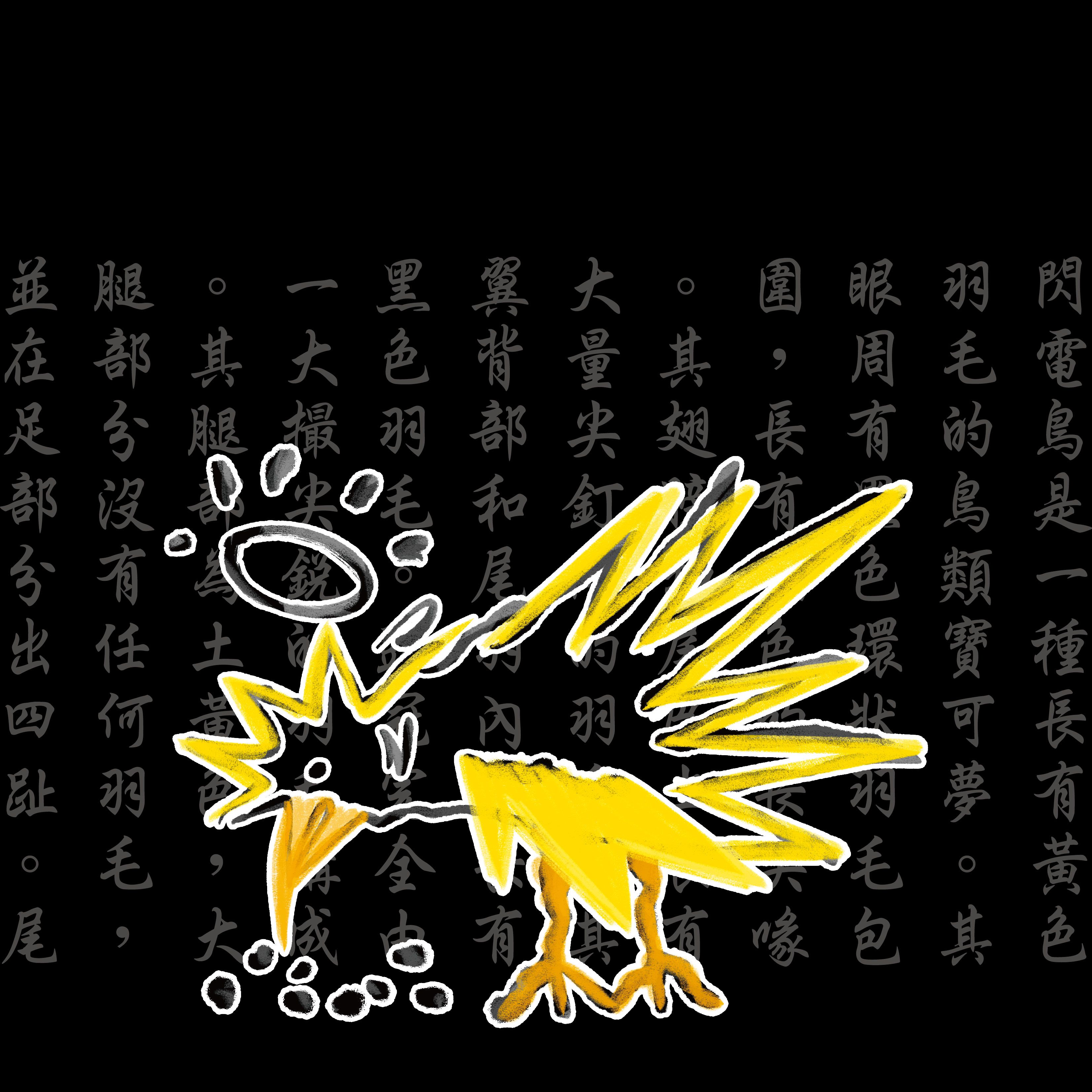 【預購】閃電鳥_（黑色）T恤_（點圖片有尺寸表）