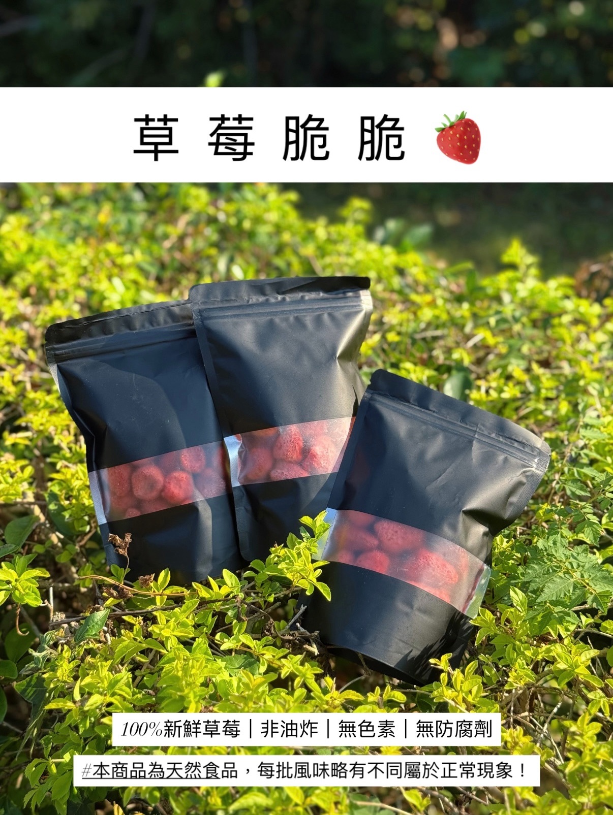 脆脆系列🍼｜買十送一可混搭