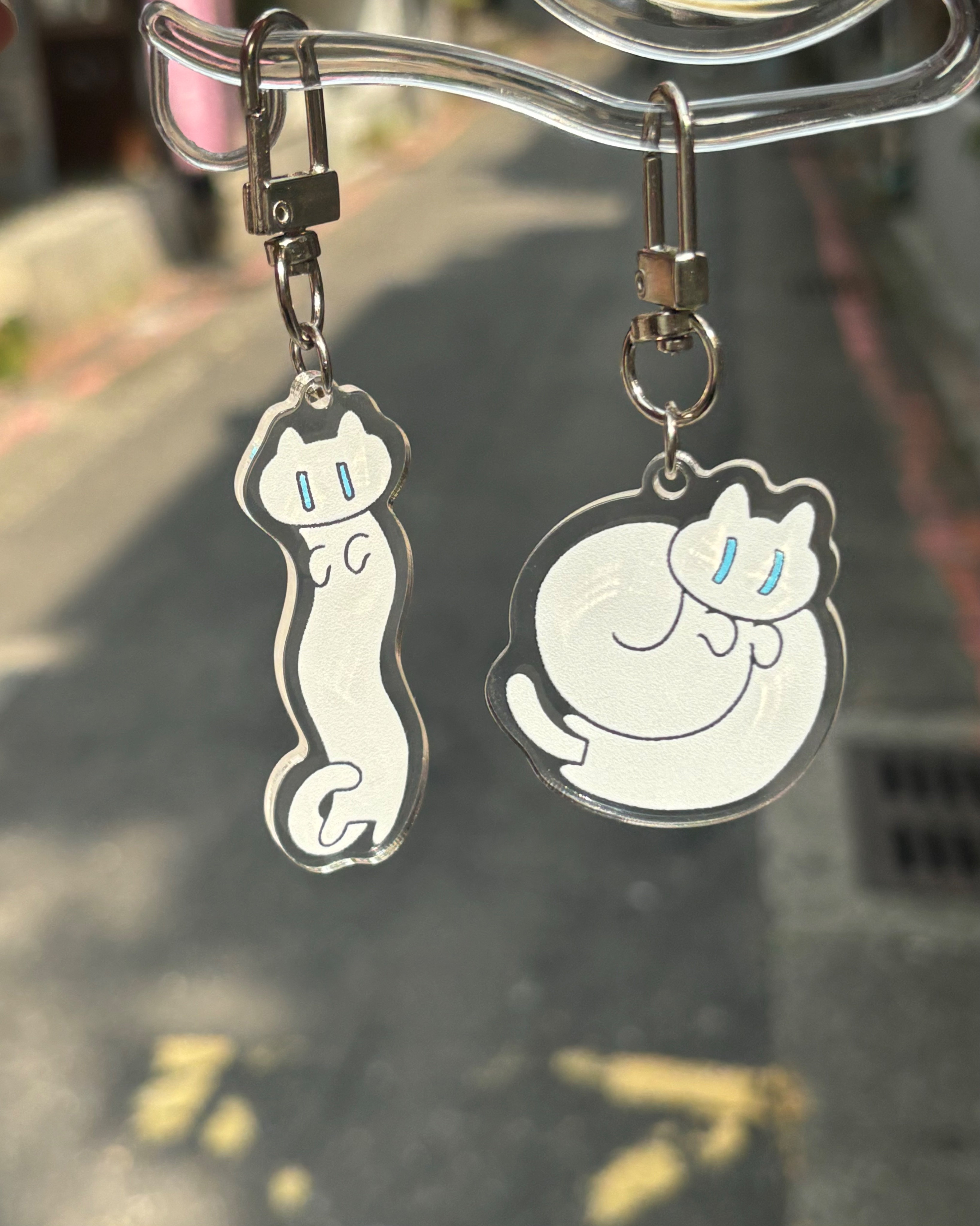 〈 貓路徑〉長長捲捲系列