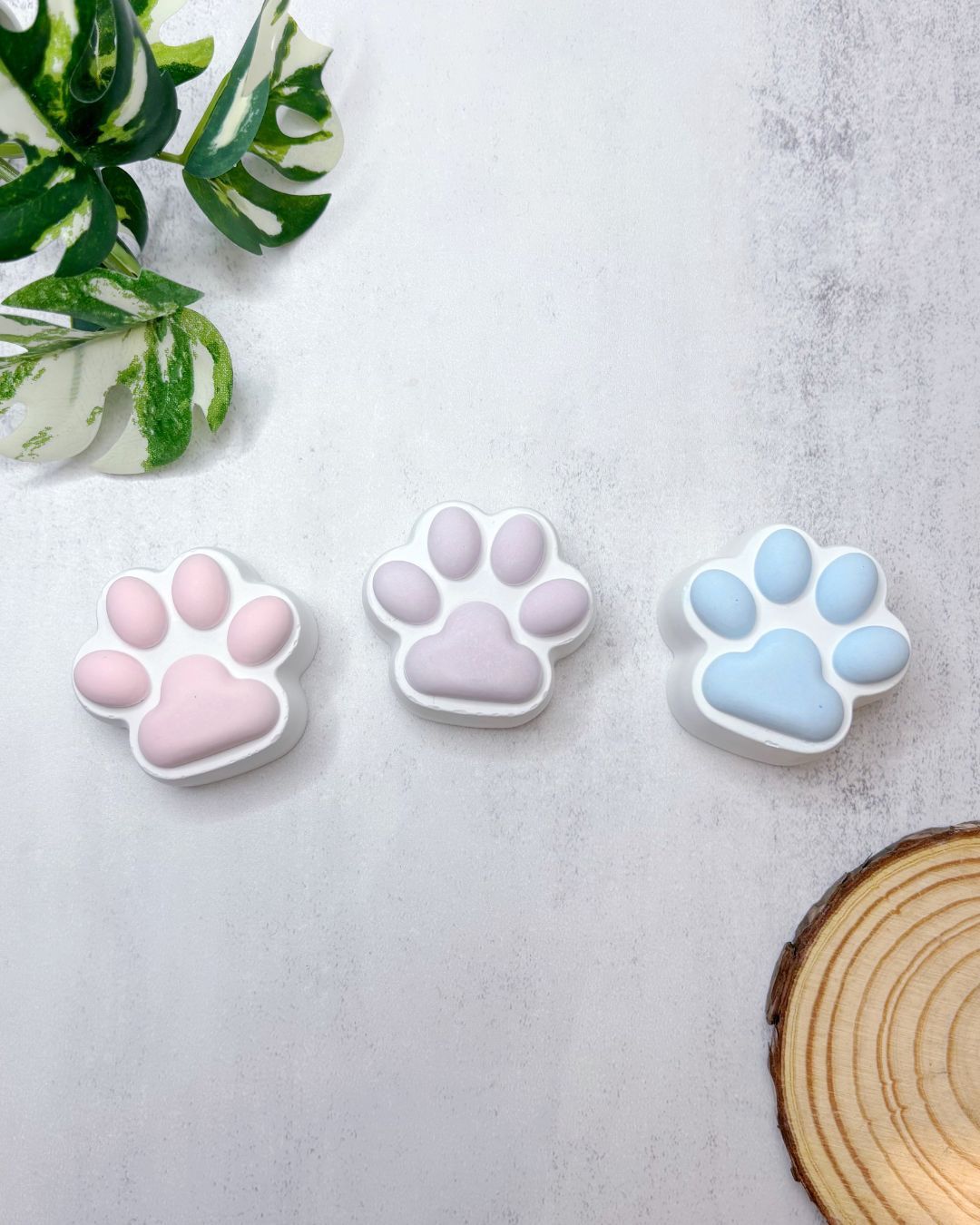 〈舒·抒 soo.soo〉貓掌擴香石