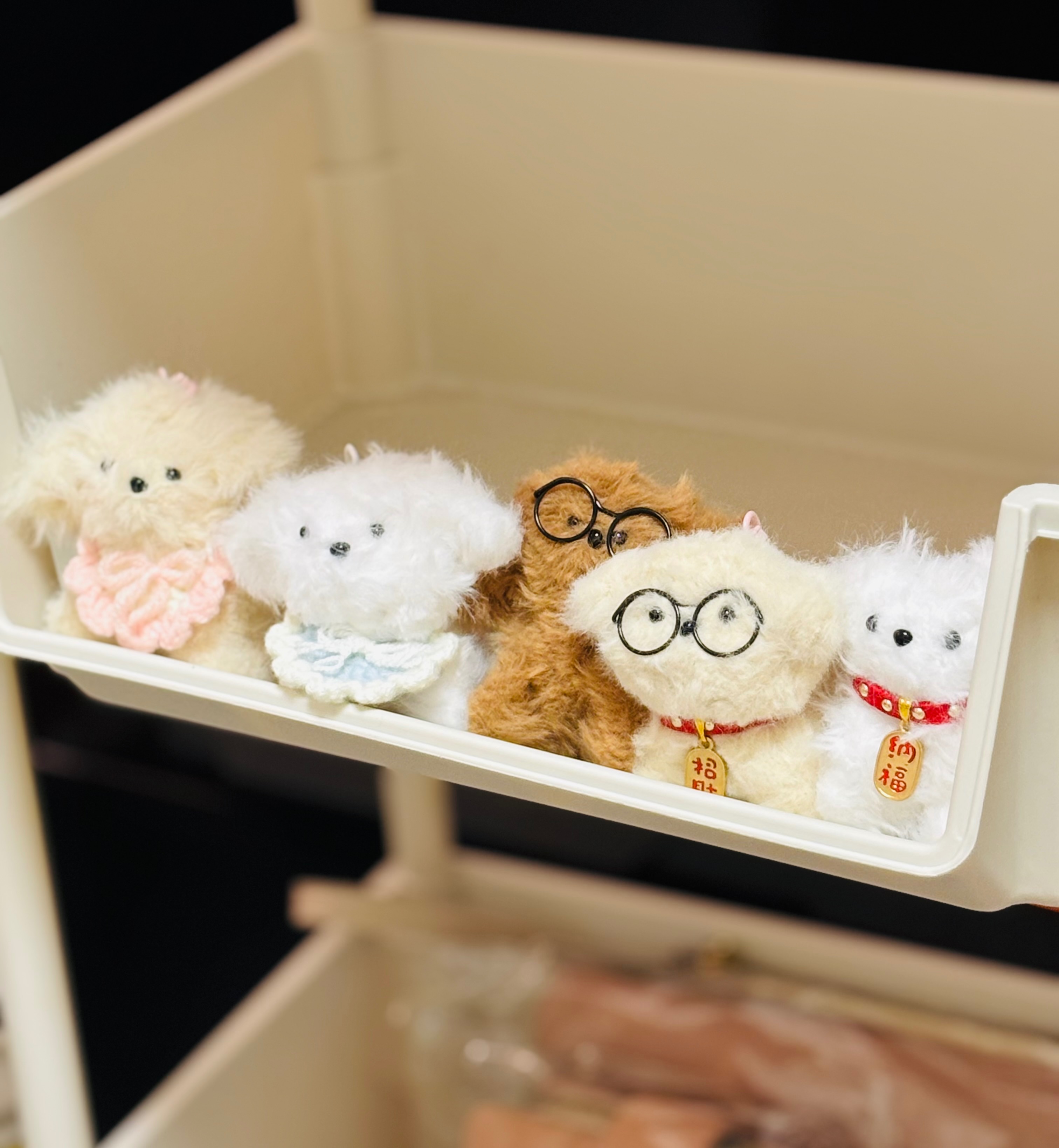 柴魚狗勾認養天地(購買代替領養?)誤XD ✨