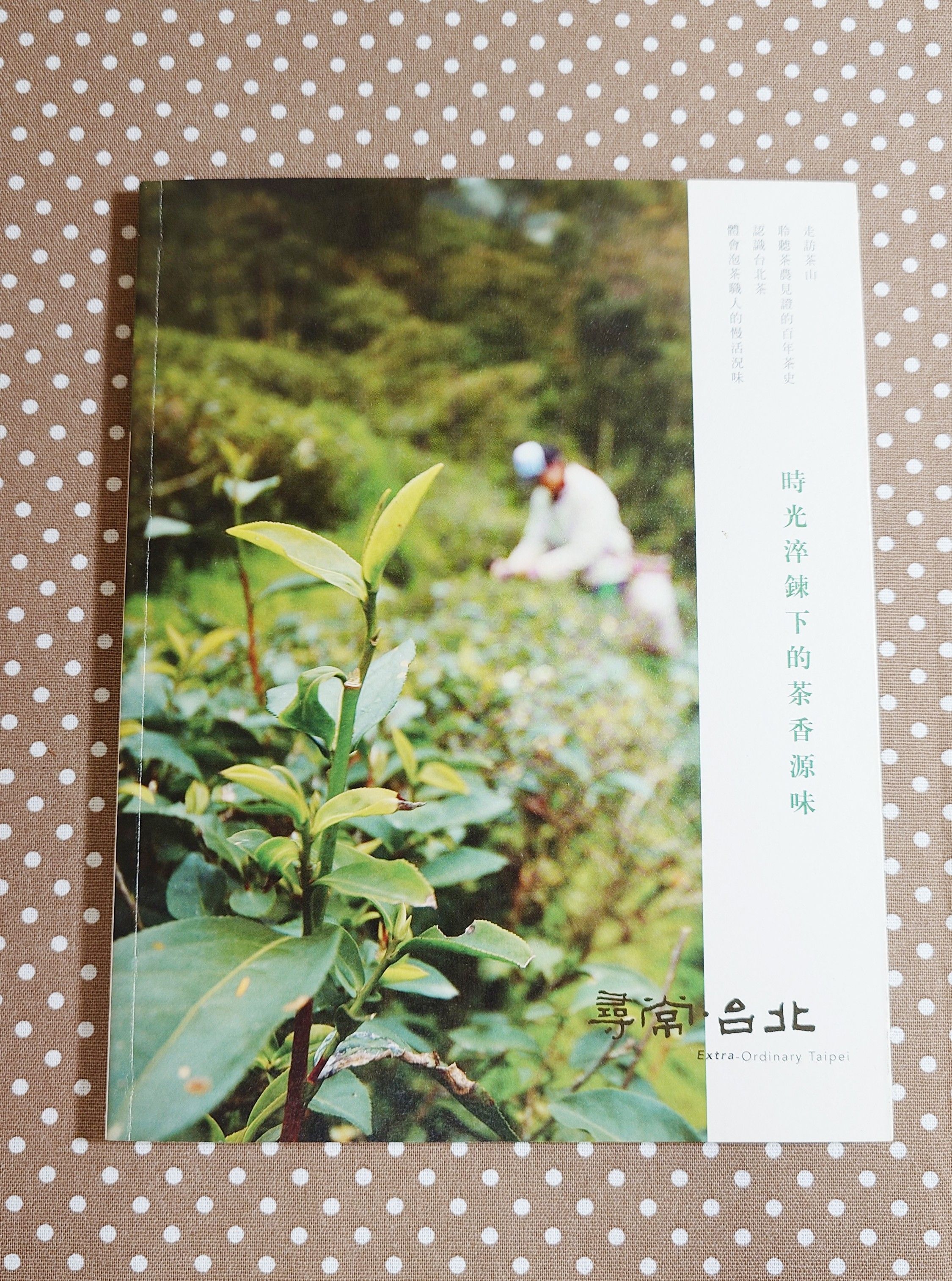 尋常．台北｜品茗好茶：時光淬鍊下的茶香源味