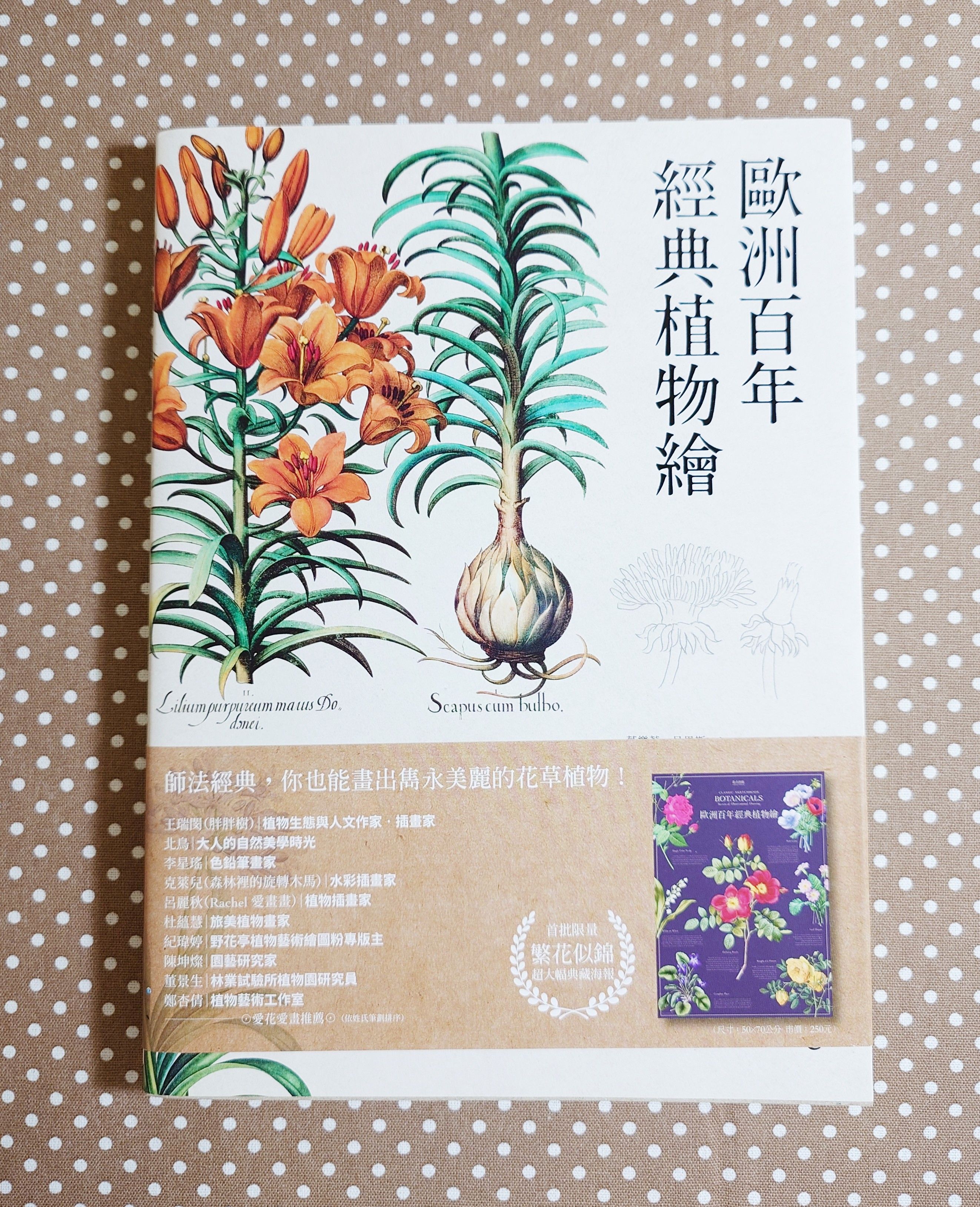 歐洲百年經典植物繪【首刷限量超大幅海報】