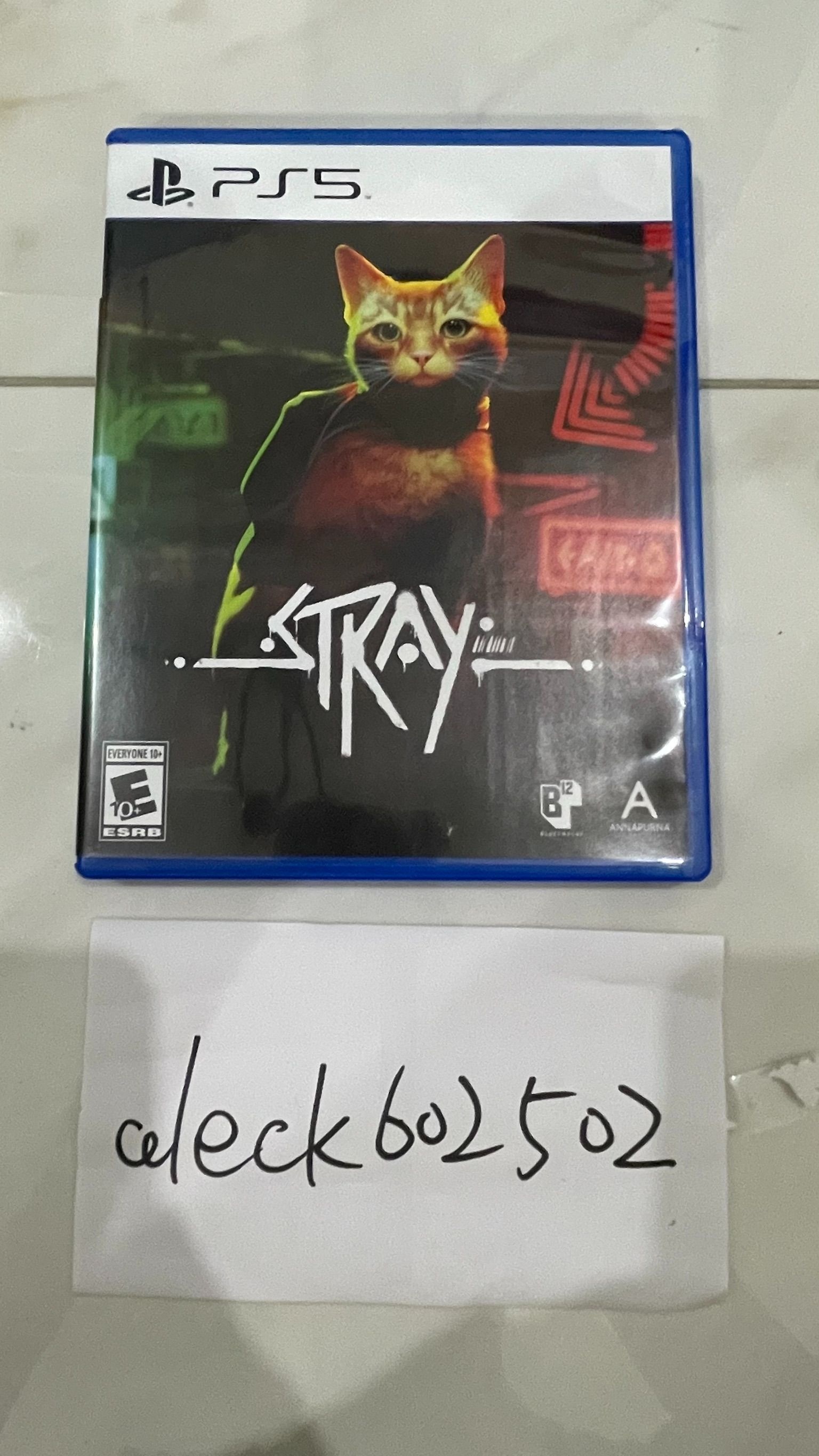 PS5 浪貓Stray