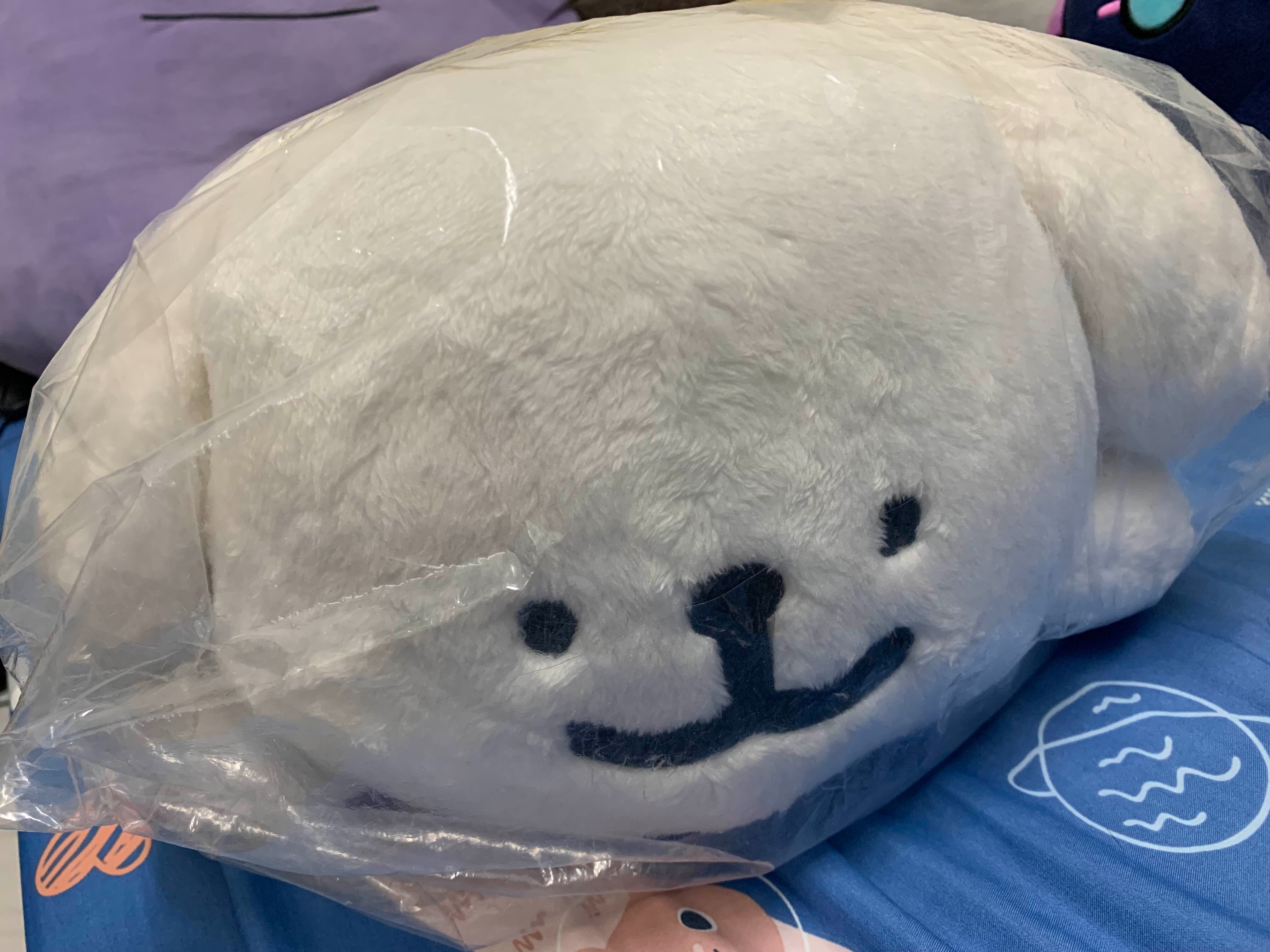 【趴趴小白】尺寸：44x38cm