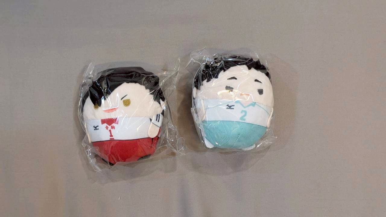 排球少年