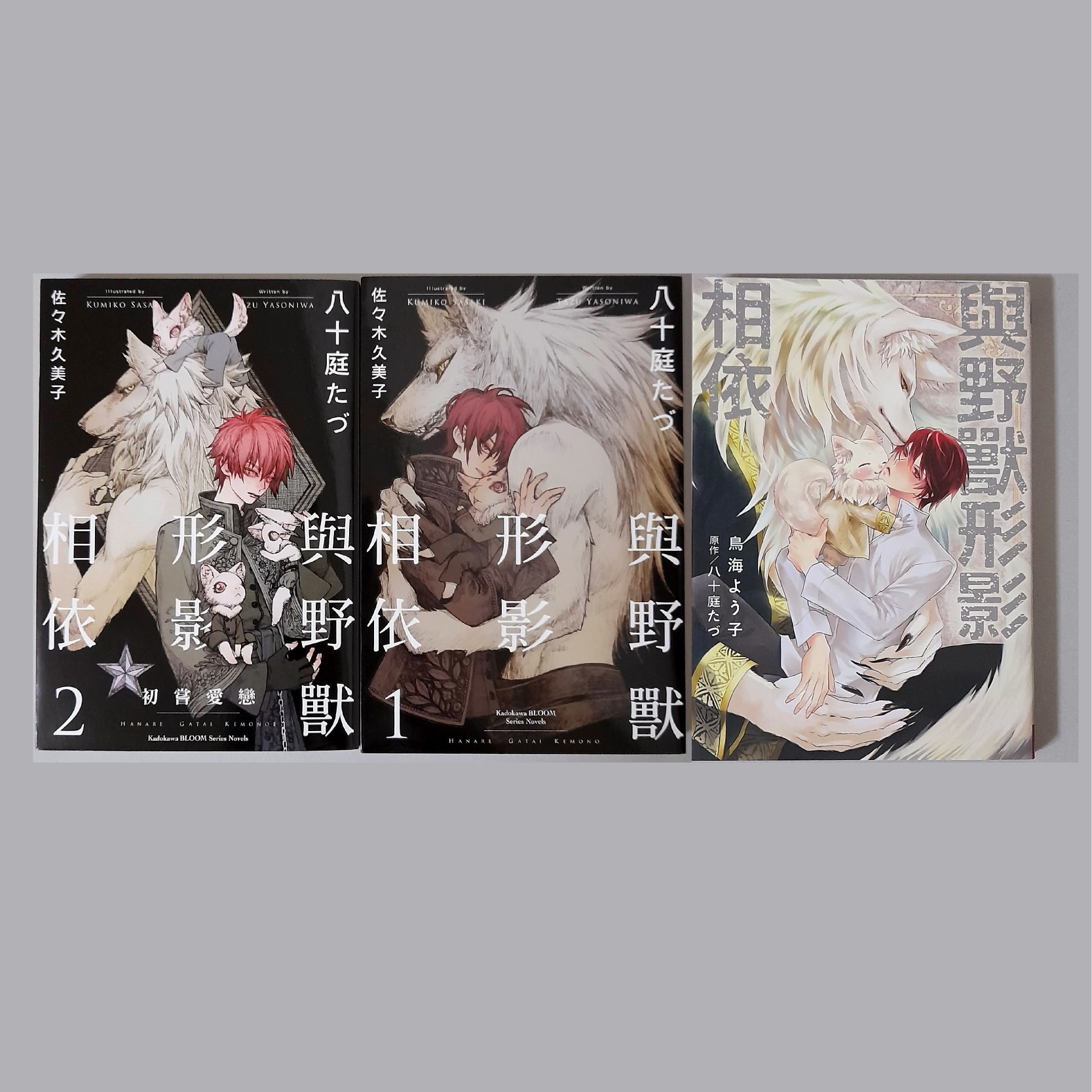 與野獸形影相依 小說2集 漫畫1本