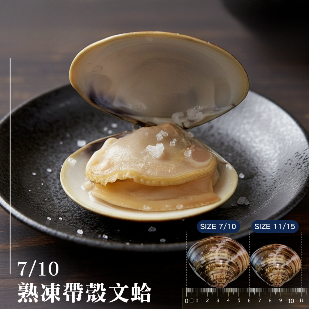 熟凍超大蛤仔(500g)|電鍋蒸10分鐘即可