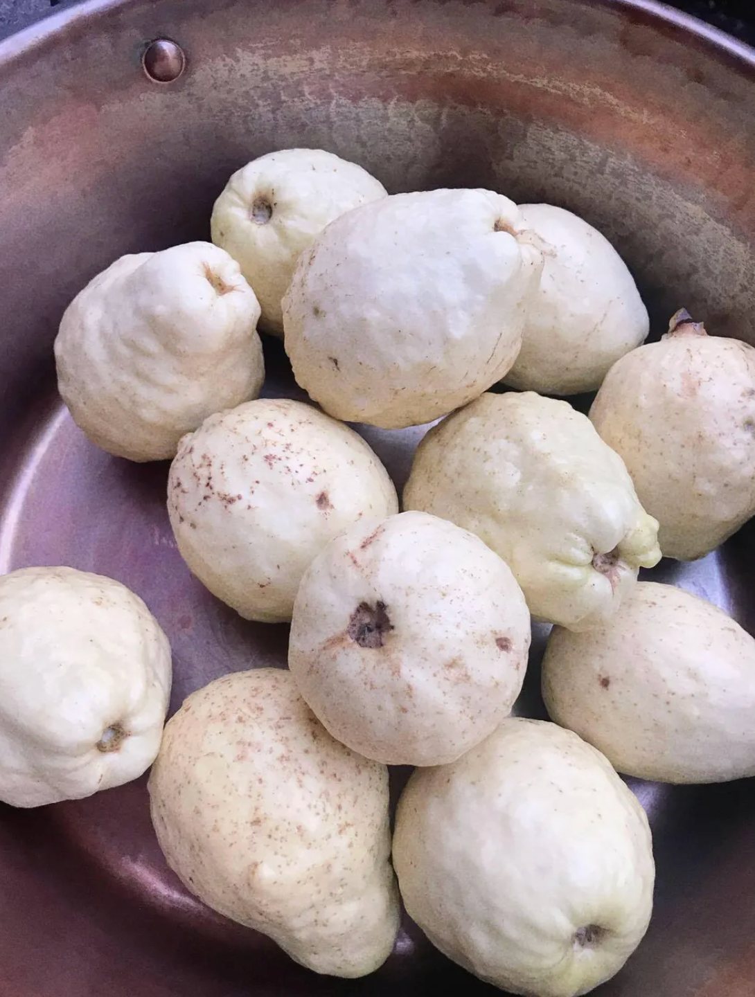 馬告土芭樂果醬 Guava and Maqaw Jam