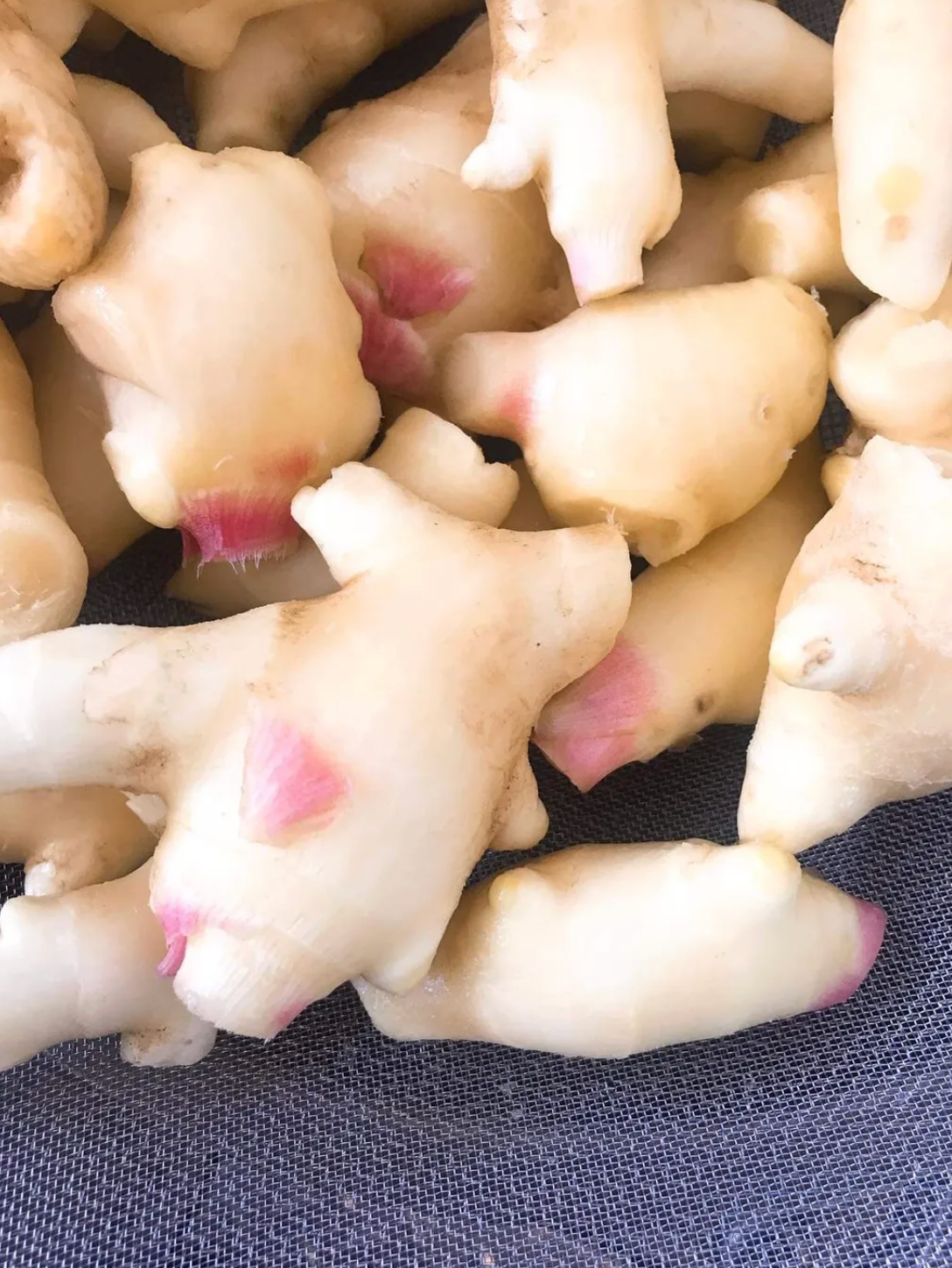 風味薑汁 Homemade spiced ginger syrup 100ml