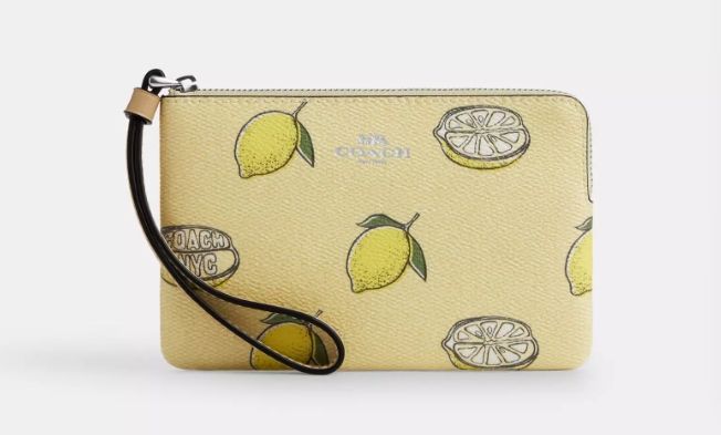 LYN 劉宇寧 COACH檸檬包