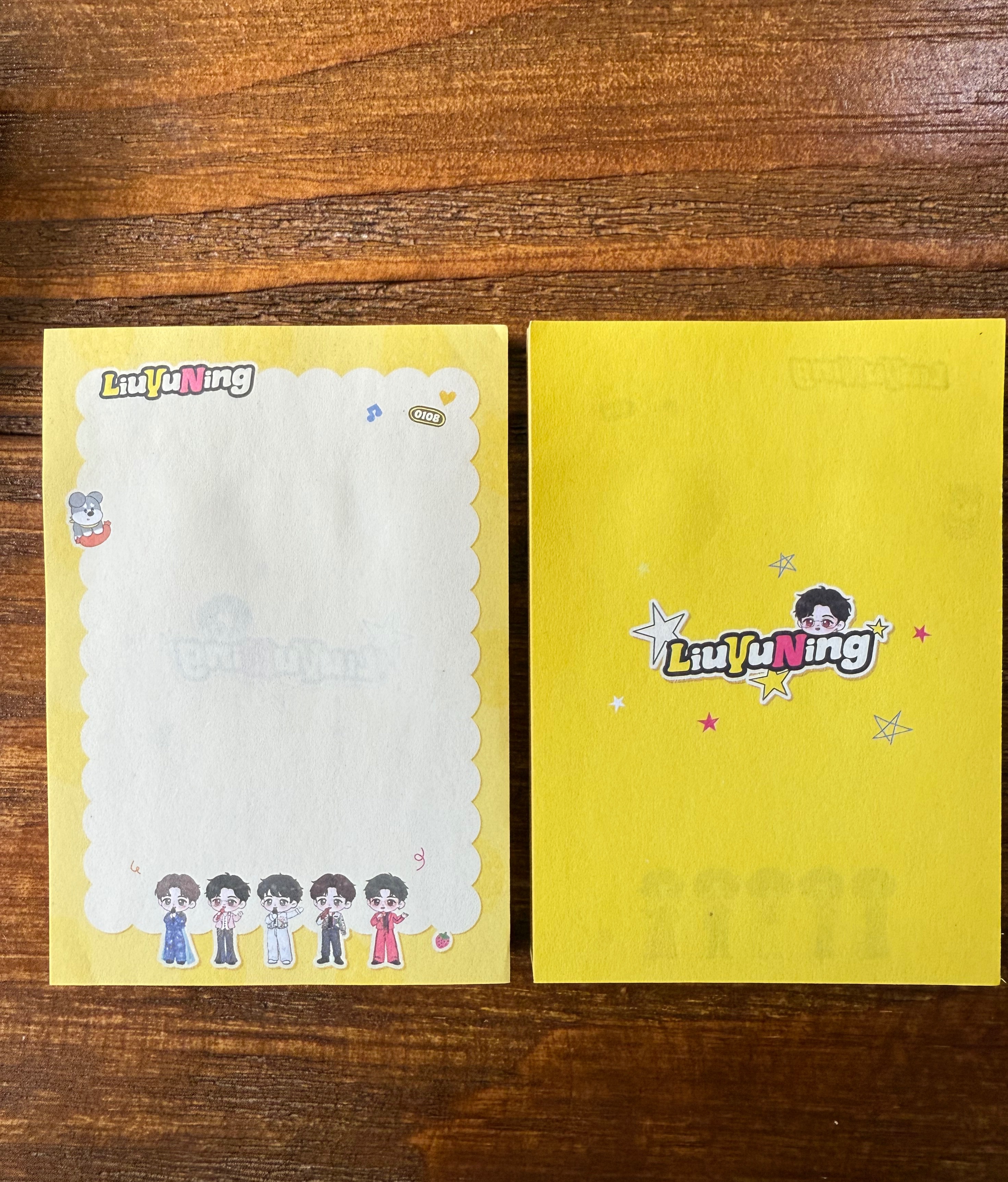 LYN劉宇寧的演唱會造型便利貼（台灣獨家）