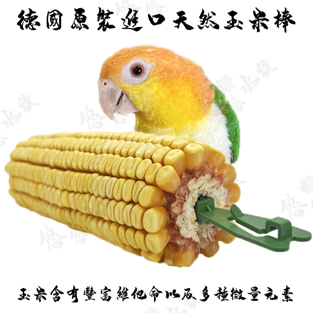 德國原裝進口天然玉米棒