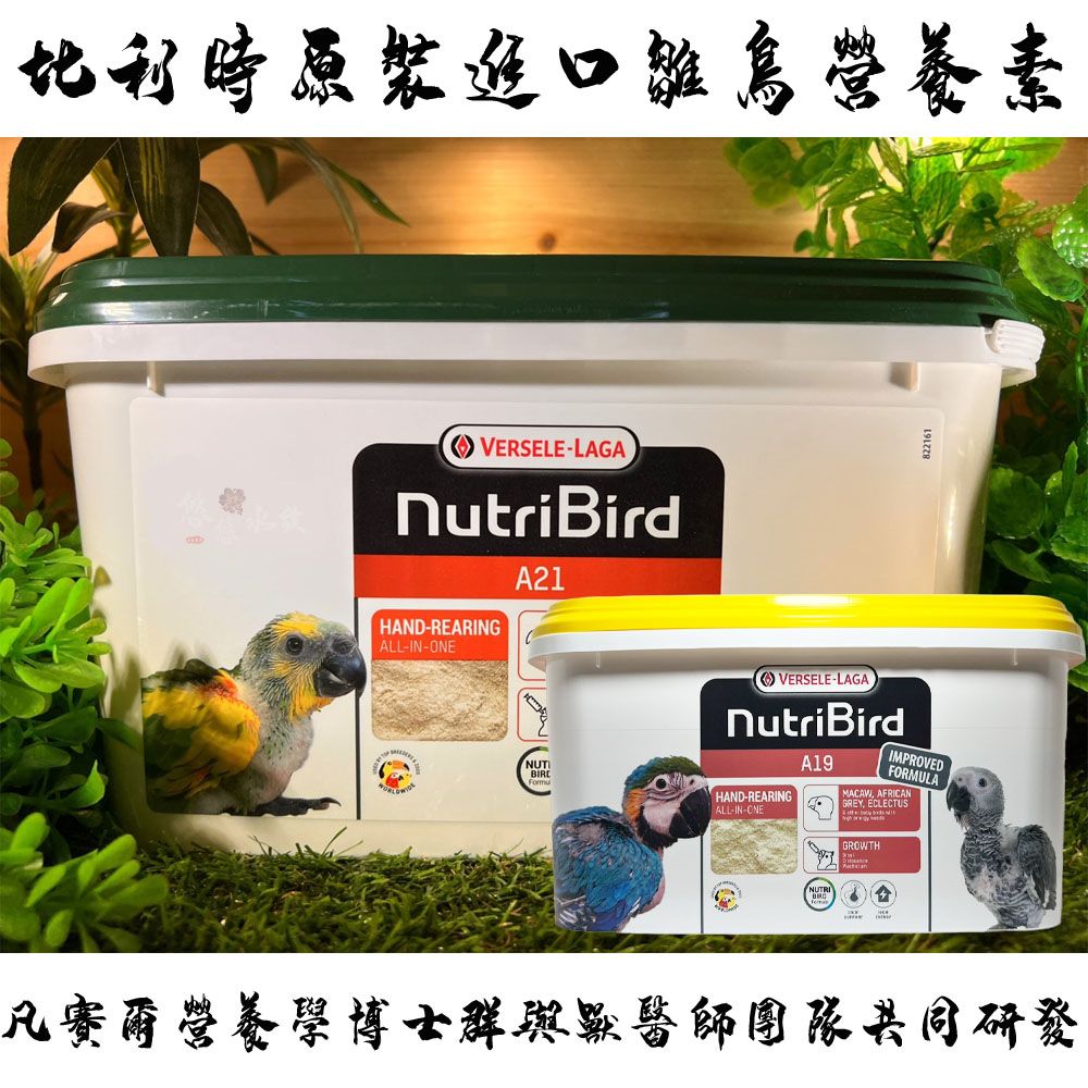 凡賽爾雛鳥營養素全系列