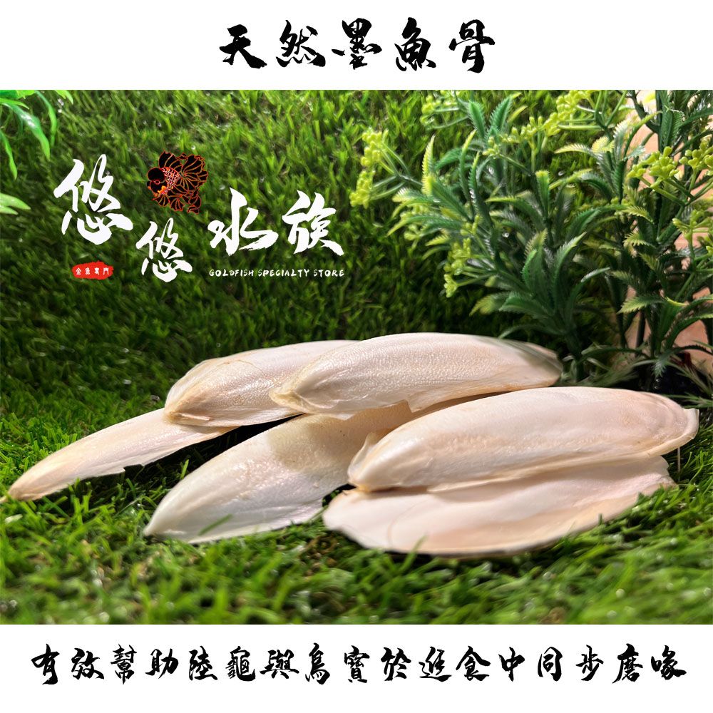 天然墨魚骨真空密封包裝