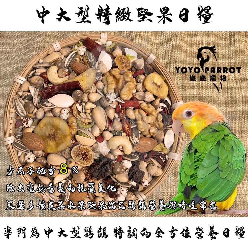 中大型精緻堅果日糧