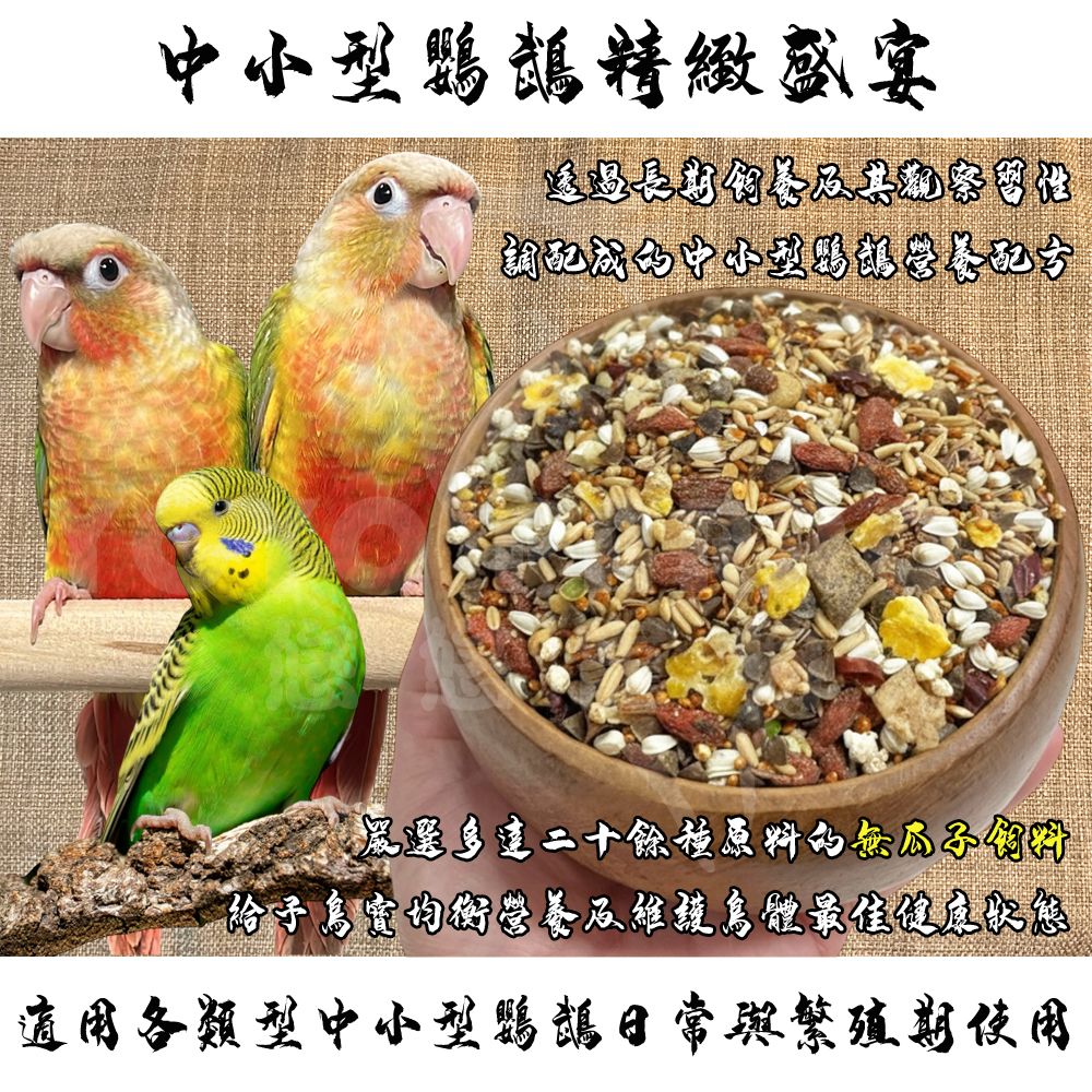 中小型鸚鵡精緻盛宴