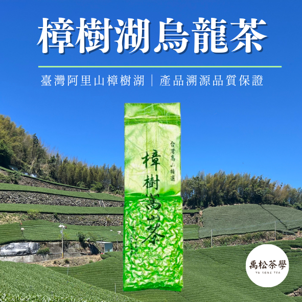 【2025年冬茶】阿里山樟樹湖烏龍茶（四兩150g盒裝）