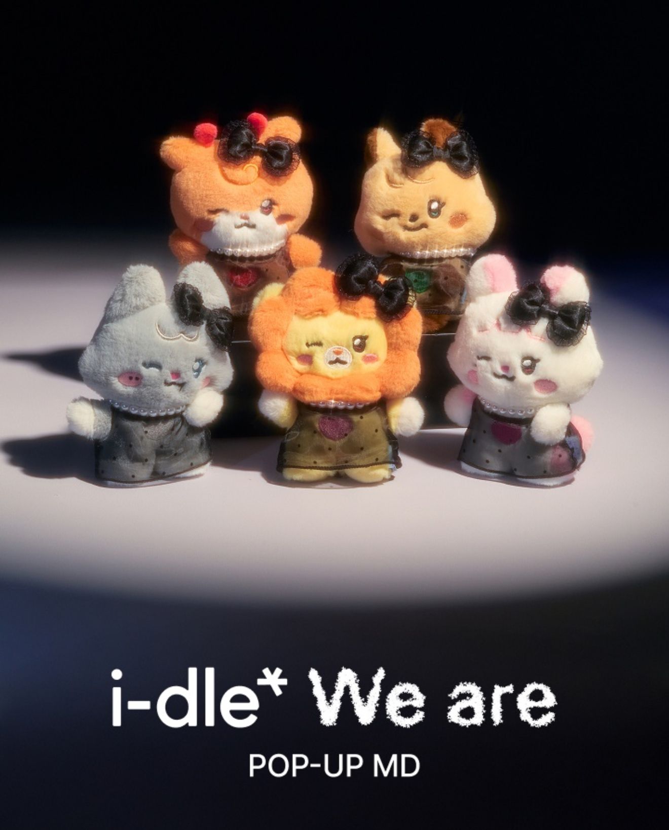 I-DLE We are minini PLUSH 迷你娃 $900