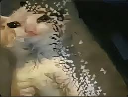 殺手的世界太危險了 帶上一隻朝倉新吧